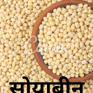 SOYABEAN