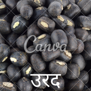 URAD DAL